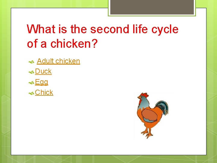 What is the second life cycle of a chicken? Adult chicken Duck Egg Chick