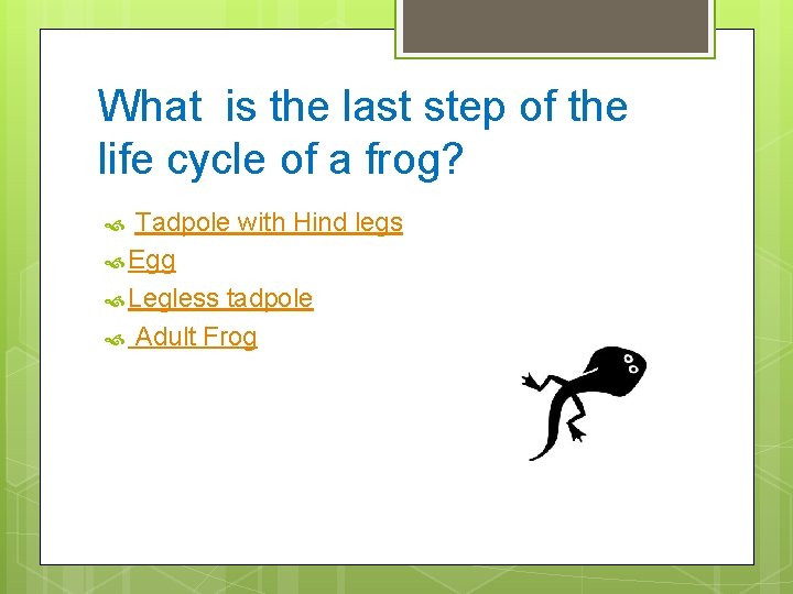 What is the last step of the life cycle of a frog? Tadpole with
