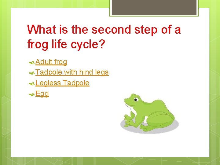 What is the second step of a frog life cycle? Adult frog Tadpole with