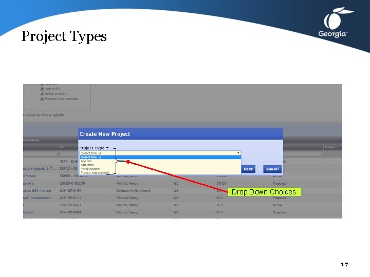 Project Types Drop Down Choices 17 