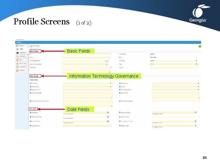 Profile Screens (1 of 2) Basic Fields Information Technology Governance Date Fields 21 