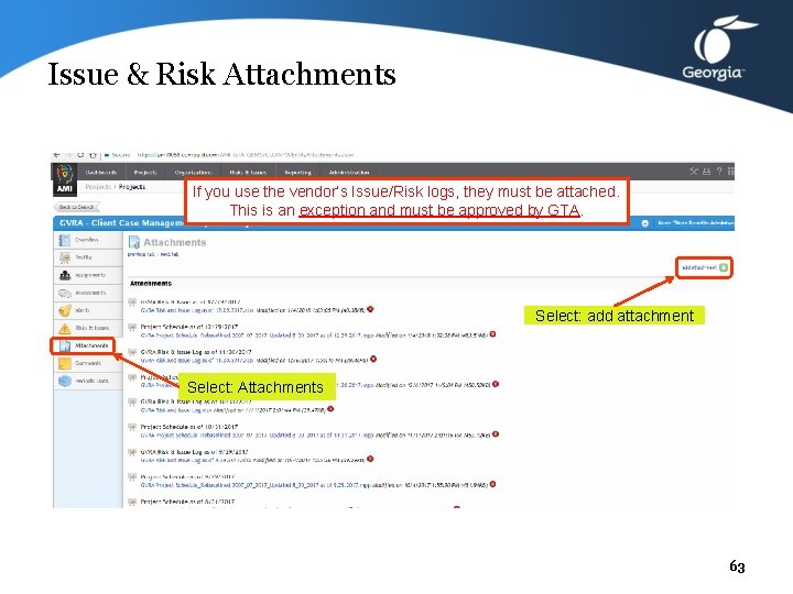 Issue & Risk Attachments If you use the vendor’s Issue/Risk logs, they must be