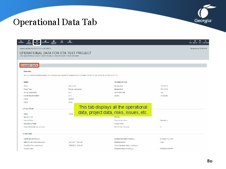 Operational Data Tab This tab displays all the operational data, project data, risks, issues,