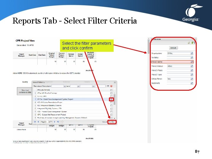 Reports Tab - Select Filter Criteria Select the filter parameters and click confirm 87