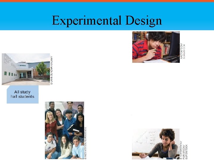 Experimental Design 