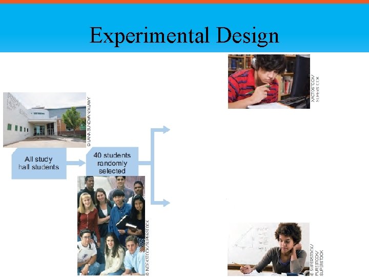 Experimental Design 