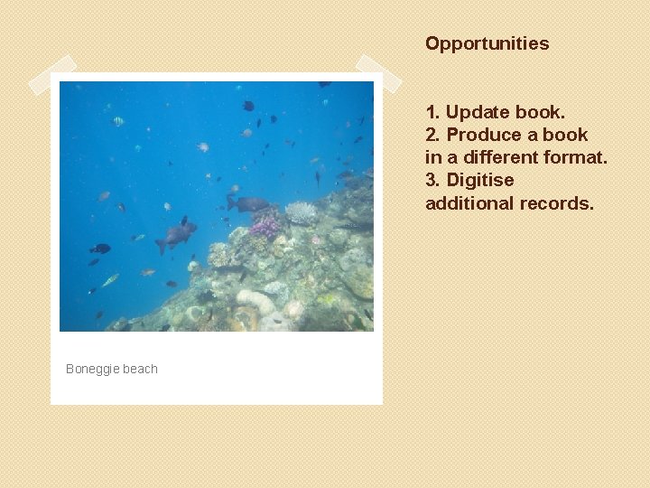 Opportunities 1. Update book. 2. Produce a book in a different format. 3. Digitise