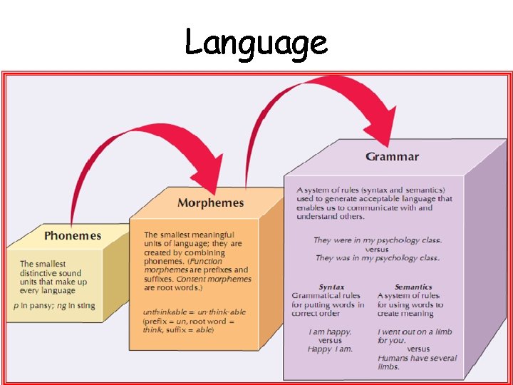 Language 