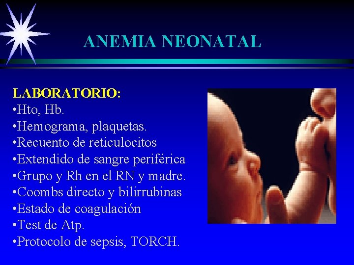 ANEMIA NEONATAL LABORATORIO: • Hto, Hb. • Hemograma, plaquetas. • Recuento de reticulocitos •