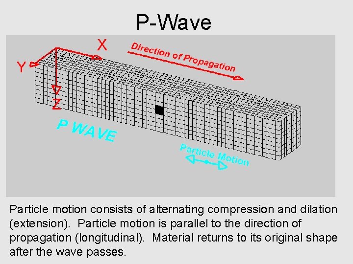 P-Wave Particle motion Deformation propagates Particle motion consists of alternating compression and dilation (extension).