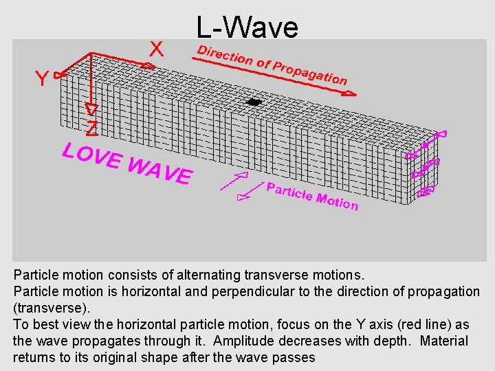 L-Wave Particle motion Deformation propagates Particle motion consists of alternating transverse motions. Particle motion