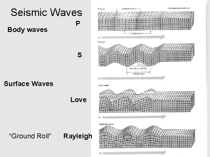 Seismic Waves Body waves P S Surface Waves Love “Ground Roll” Rayleigh 