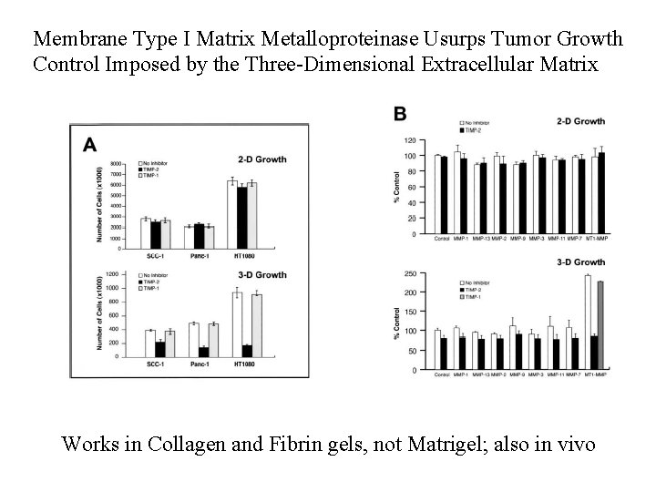 Membrane Type I Matrix Metalloproteinase Usurps Tumor Growth Control Imposed by the Three-Dimensional Extracellular