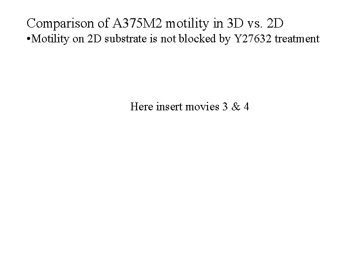 Comparison of A 375 M 2 motility in 3 D vs. 2 D •