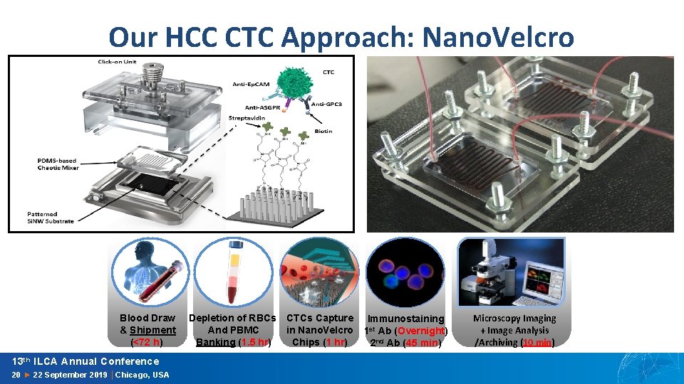 Our HCC CTC Approach: Nano. Velcro Blood Draw & Shipment (<72 h) 13 th