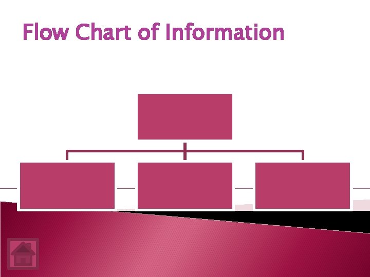 Flow Chart of Information 