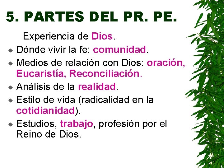 5. PARTES DEL PR. PE. Experiencia de Dios. Dónde vivir la fe: comunidad. Medios