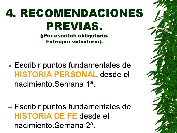 4. RECOMENDACIONES PREVIAS. (¡Por escrito!: obligatorio. Entregar: voluntario). Escribir puntos fundamentales de HISTORIA PERSONAL