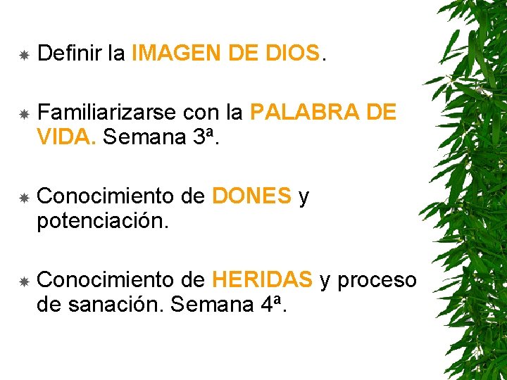  Definir la IMAGEN DE DIOS. Familiarizarse con la PALABRA DE VIDA. Semana 3ª.