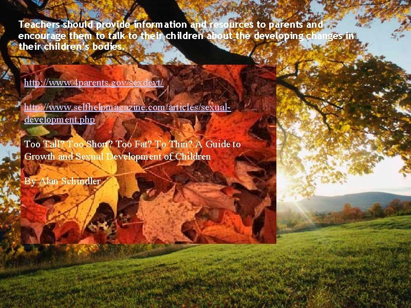 Teachers should provide information and resources to parents and encourage them to talk to