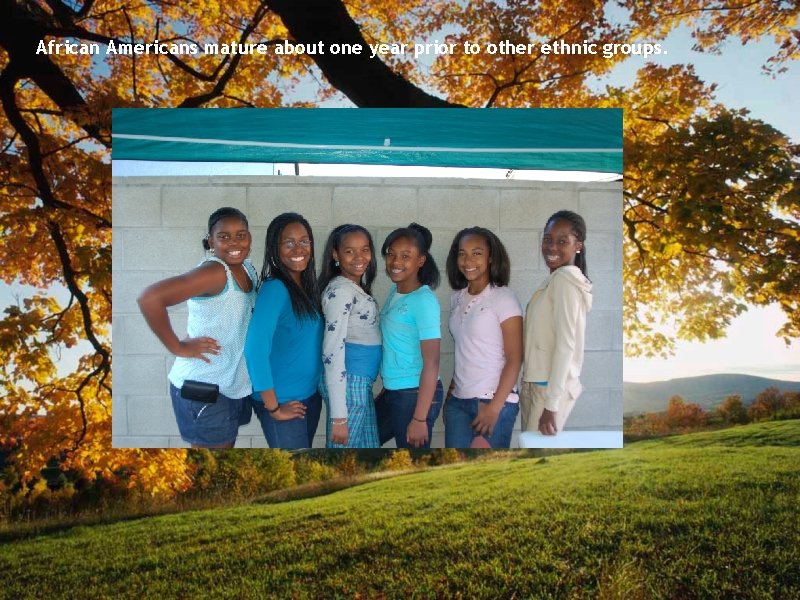 African Americans mature about one year prior to other ethnic groups. 