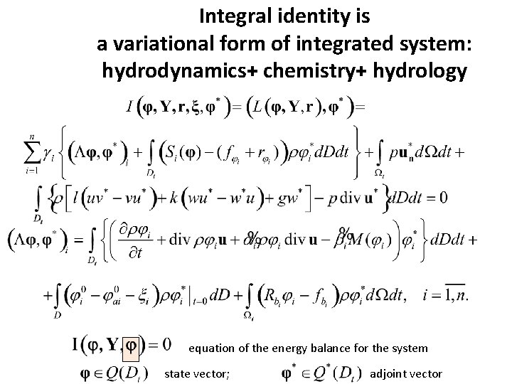 Integral identity is a variational form of integrated system: hydrodynamics+ chemistry+ hydrology equation of