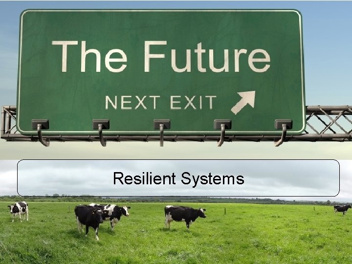 Resilient Systems 
