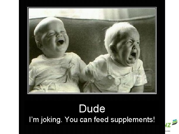 Dude I’m joking. You can feed supplements! 