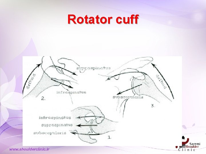 Rotator cuff Rotator cuff