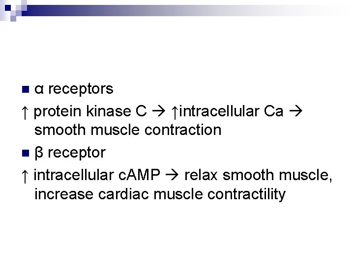 α receptors ↑ protein kinase C ↑intracellular Ca smooth muscle contraction n β receptor