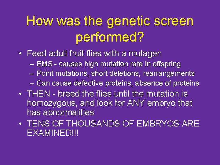How was the genetic screen performed? • Feed adult fruit flies with a mutagen