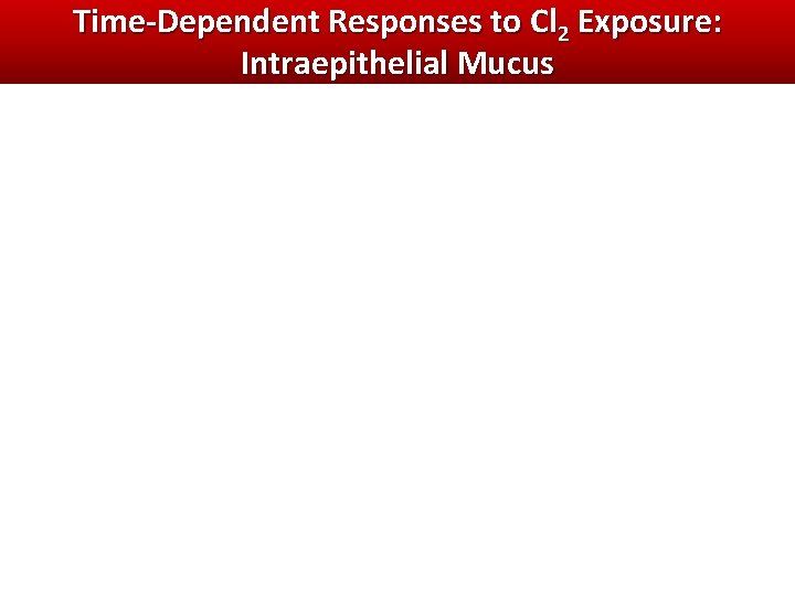 Time-Dependent Responses to Cl 2 Exposure: Intraepithelial Mucus Time-Dependent Responses to Cl 2 Exposure: Intraepithelial Mucus