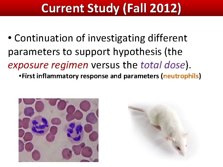 Current Study (Fall 2012) • Continuation of investigating different parameters to support hypothesis (the Current Study (Fall 2012) • Continuation of investigating different parameters to support hypothesis (the