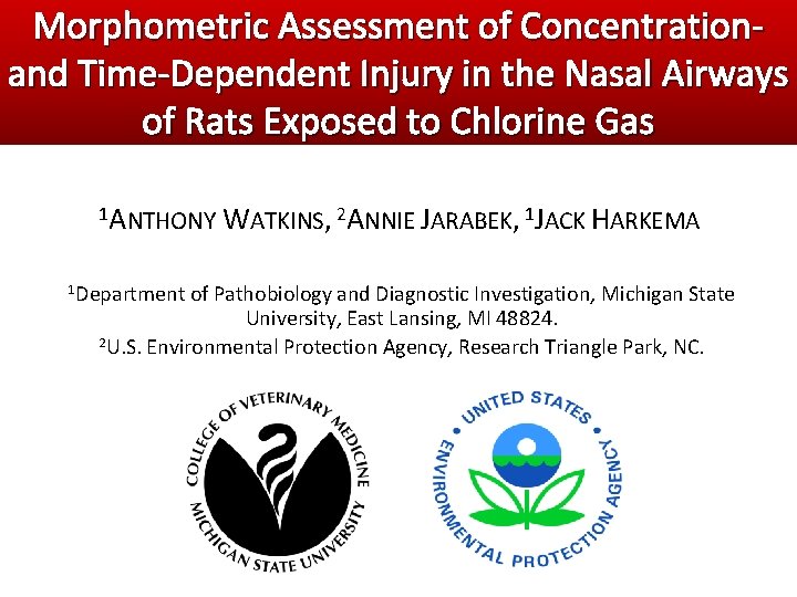 Morphometric Assessment of Concentrationand Time-Dependent Injury in the Nasal Airways of Rats Exposed to Morphometric Assessment of Concentrationand Time-Dependent Injury in the Nasal Airways of Rats Exposed to