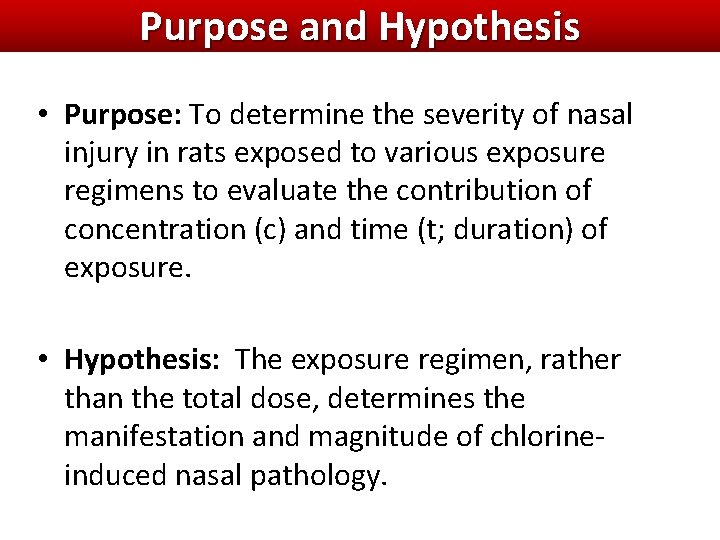Purpose and Hypothesis • Purpose: To determine the severity of nasal injury in rats Purpose and Hypothesis • Purpose: To determine the severity of nasal injury in rats