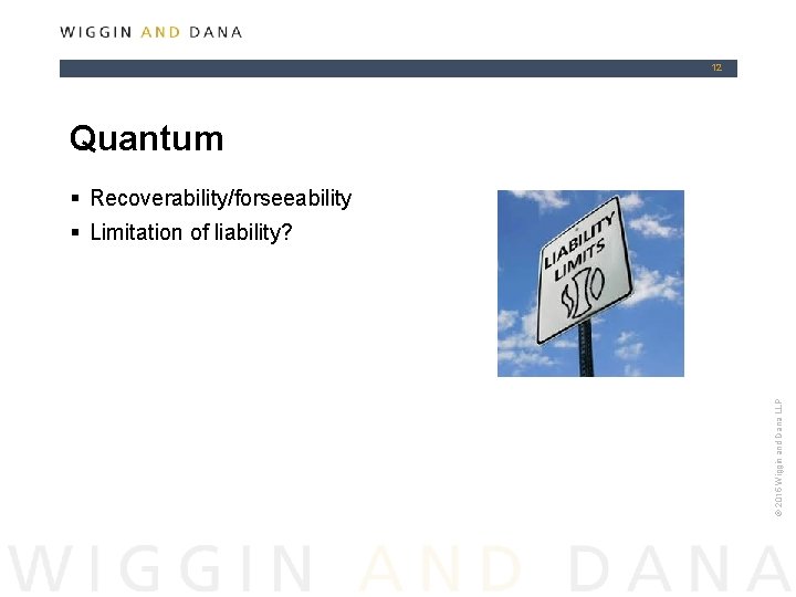 12 Quantum § Recoverability/forseeability © 2015 Wiggin and Dana LLP § Limitation of liability?