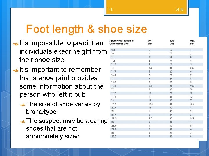 14 Foot length & shoe size It’s impossible to predict an individuals exact height