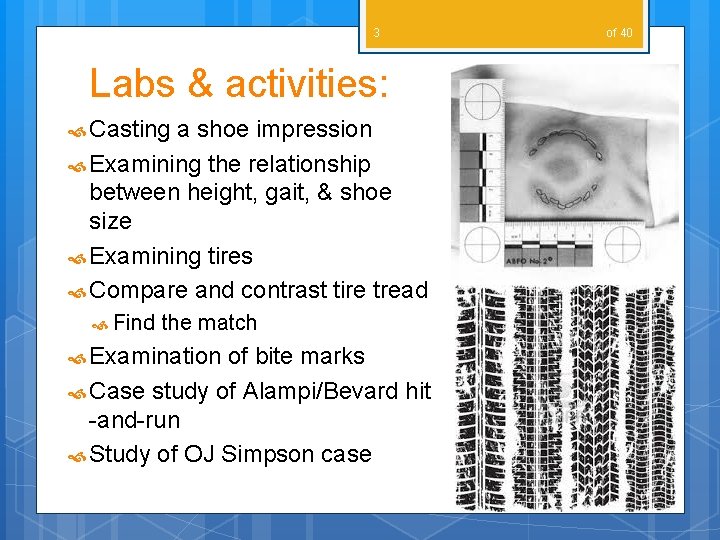 3 Labs & activities: Casting a shoe impression Examining the relationship between height, gait,