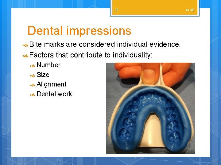 31 Dental impressions Bite marks are considered individual evidence. Factors that contribute to individuality: