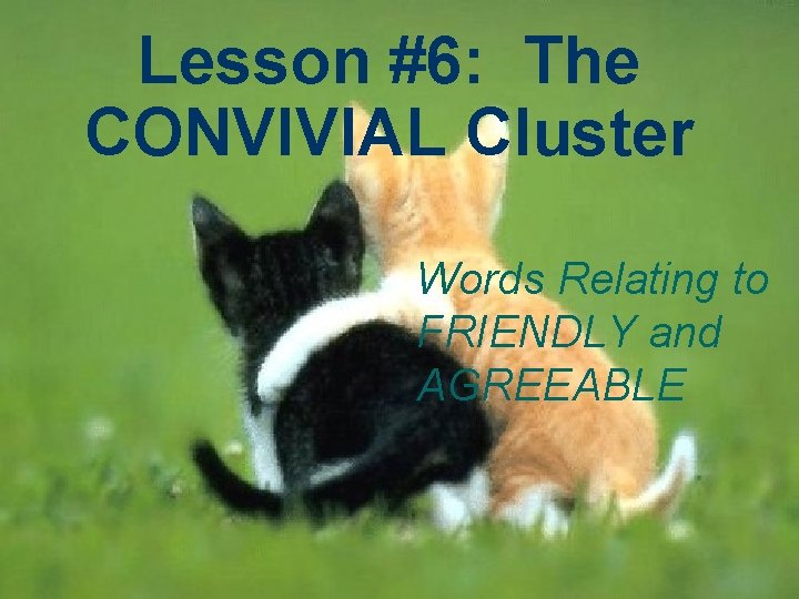 Lesson #6: The CONVIVIAL Cluster Words Relating to FRIENDLY and AGREEABLE 