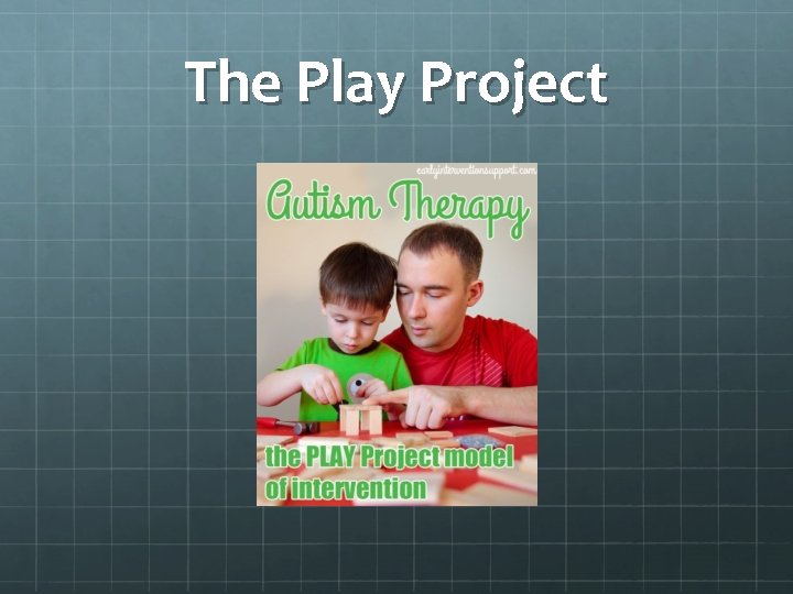 The Play Project 