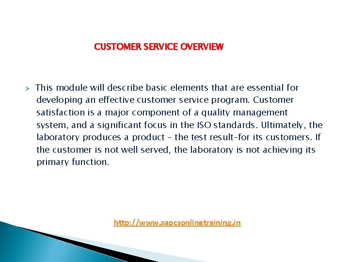 CUSTOMER SERVICE OVERVIEW Ø This module will describe basic elements that are essential for CUSTOMER SERVICE OVERVIEW Ø This module will describe basic elements that are essential for