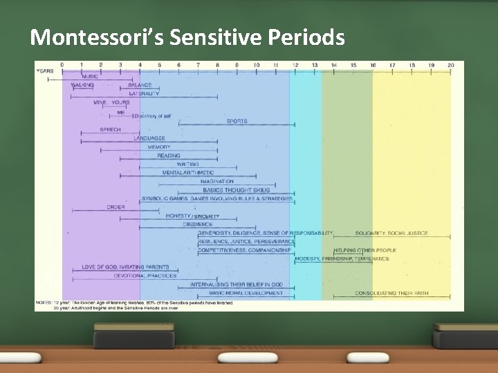 Montessori’s Sensitive Periods 