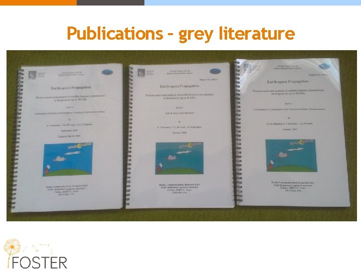 Publications – grey literature 