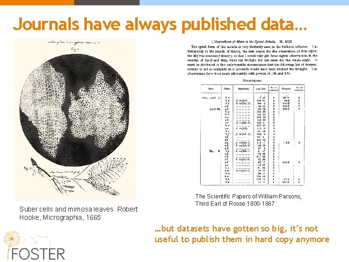 Journals have always published data… Suber cells and mimosa leaves. Robert Hooke, Micrographia, 1665