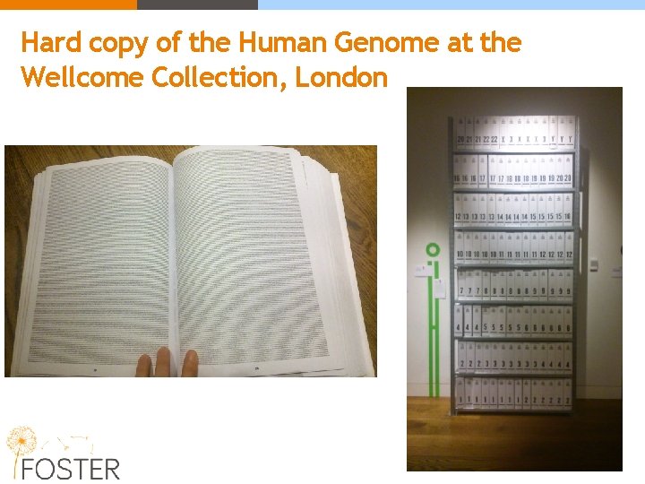 Hard copy of the Human Genome at the Wellcome Collection, London Hard copy of the Human Genome at the Wellcome Collection, London