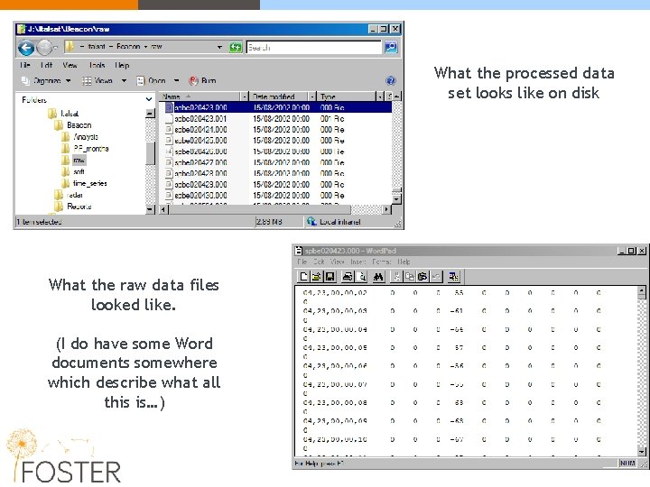 What the processed data set looks like on disk What the raw data files