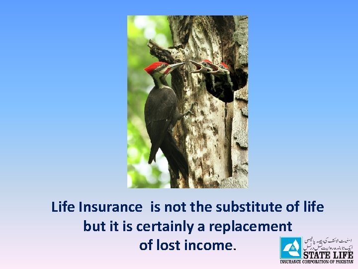 Life Insurance is not the substitute of life but it is certainly a replacement