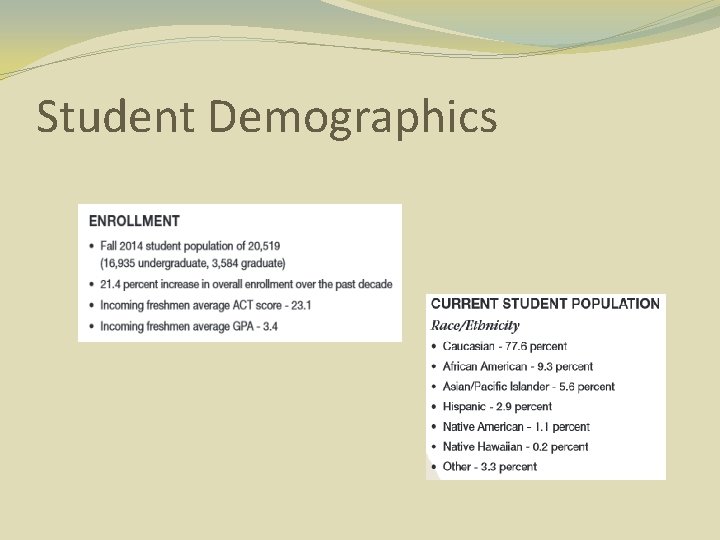 Student Demographics 