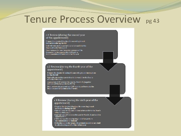 Tenure Process Overview pg 43 